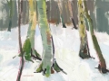 19-birch-colour-in-snow-24-3-13-lockwood
