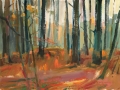 6-light-catching-ferns-15-11-12-lockwood