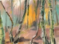 7-mist-in-the-forest-16-11-12-lockwood
